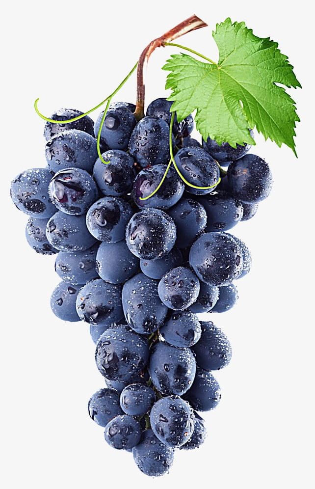 Purple Grape PNG, Clipart, Agriculture, Berry Fruit, Blue, Bunch, Close Up Free PNG Download