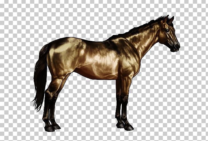 American Paint Horse Quarter Black Bay Buckskin Png Clipart Bit Bridle Cream - Buckskin Paint Color Horse American Paint Horse Quarter Black Bay Buckskin Png Clipart Bit Bridle Cream - Buckskin Paint Color Horse