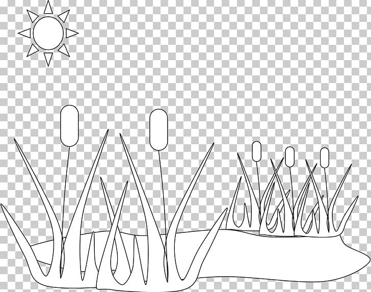 Coloring Book Pond Ecosystem Rxe9sumxe9 PNG, Clipart, Adult, Angle, Area, Artwork, Black And White Free PNG Download