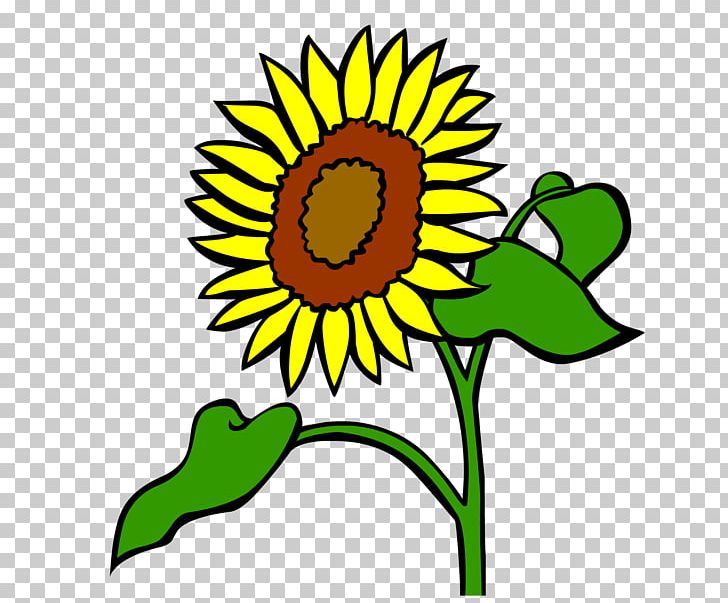 Common Sunflower Book Illustration Text PNG, Clipart, Artwork, Book Illustration, Common Sunflower, Cut Flowers, Daisy Family Free PNG Download