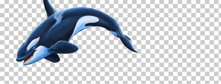 Dolphin Killer Whale PNG, Clipart, Animal, Animal Figure, Animals, Beak, Deviantart Free PNG Download