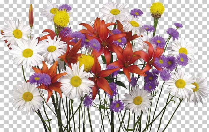 Flower Bouquet Desktop Display Resolution Lilium PNG, Clipart, Aster, Camomile, Chrysanths, Color, Cut Flowers Free PNG Download