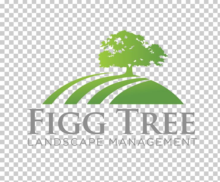 Logo Font Brand Product Tree PNG, Clipart, Brand, Diagram, Grass, Green, Leaf Free PNG Download