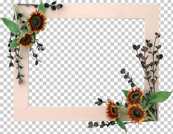 Frames Photography PNG, Clipart, Beautiful, Butterfly, Cut Flowers, Decor, Decorative Arts Free PNG Download