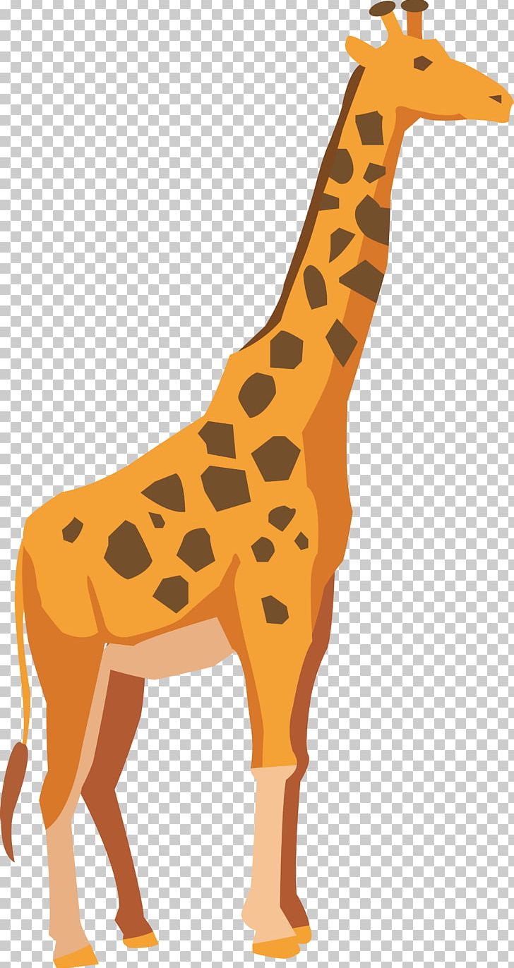 Giraffe Adobe Illustrator Drawing PNG, Clipart, Animal, Animal Figure, Animals, Balloon Cartoon, Boy Cartoon Free PNG Download