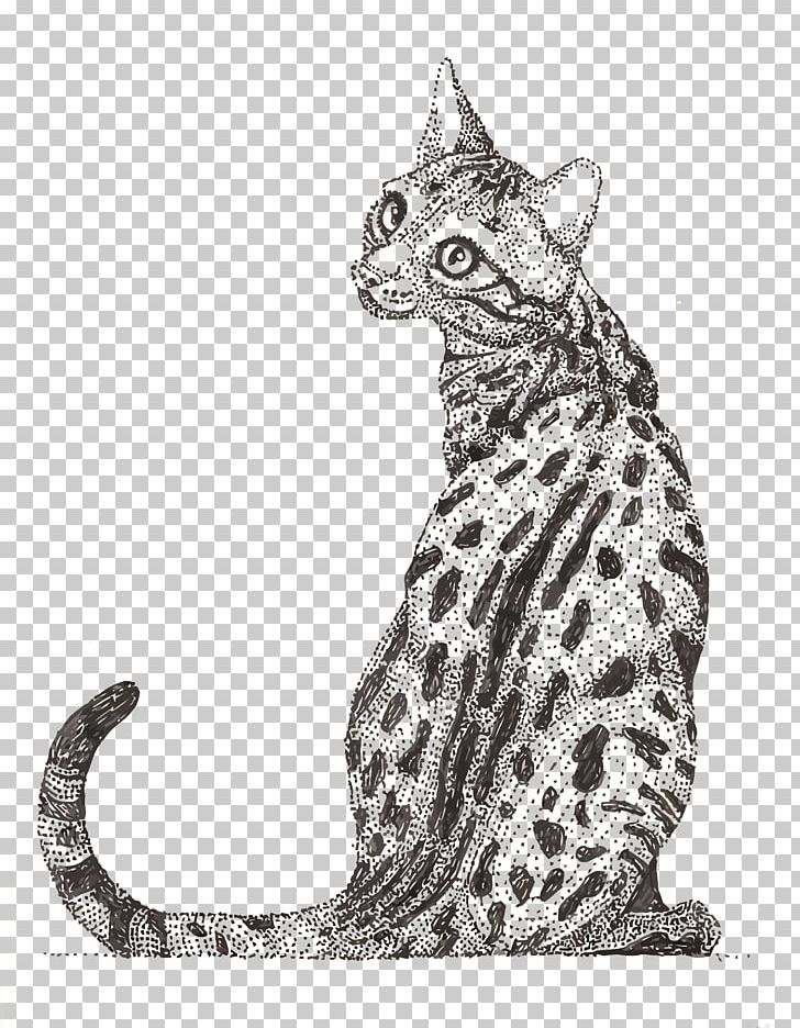 Ocicat Tabby Cat Ocelot Wildcat Whiskers PNG, Clipart, Animals, Big Cats, Carnivoran, Cat Like Mammal, Fauna Free PNG Download