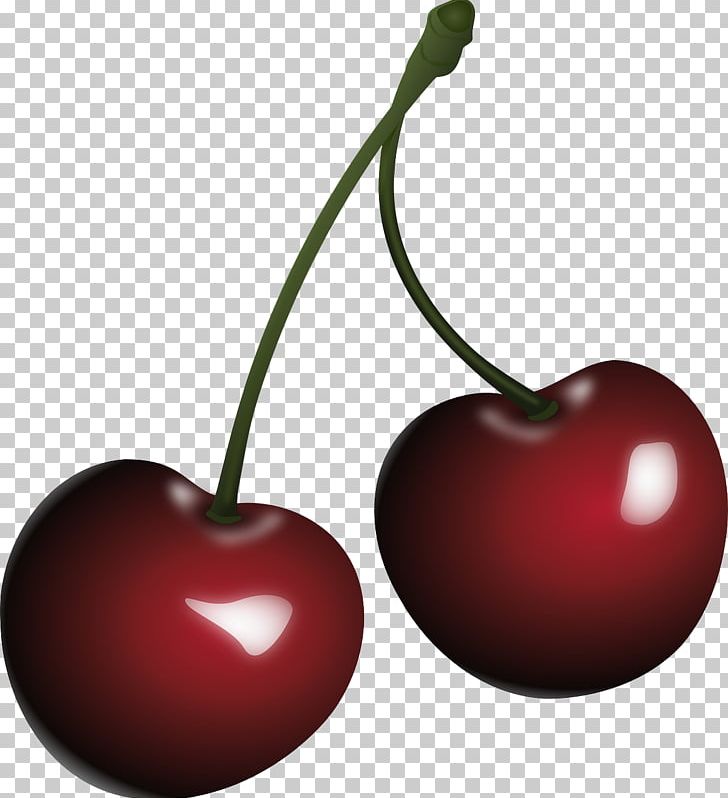 Cherry PNG, Clipart, Auglis, Black Cherry, Cherry, Cherry Clipart, Clip Art Free PNG Download