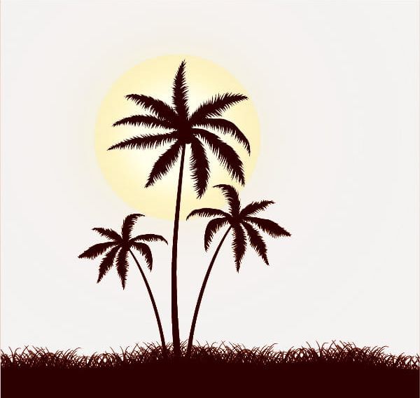 Coconut Trees Silhouette PNG, Clipart, Coco, Coconut Clipart, Meadow, Plant, Silhouette Clipart Free PNG Download