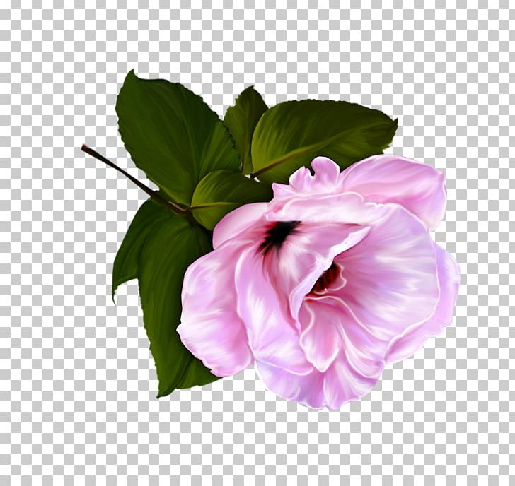 Familiar Wild Flowers Wildflower Cut Flowers Human PNG, Clipart, Cut Flowers, Desktop Wallpaper, Embroidery, Familiar Wild Flowers, Floral Design Free PNG Download