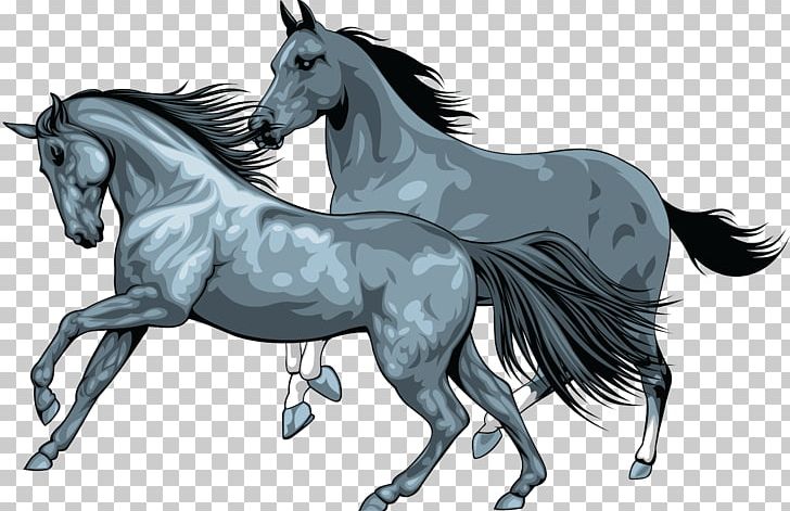 Mustang Canter And Gallop Horse Racing Wild Horse PNG, Clipart, Canter And Gallop, Collection, Colt, English Riding, Equestrian Free PNG Download