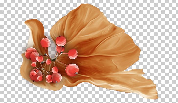 Petal Cut Flowers Peach PNG, Clipart, Autumn Fruits, Cut Flowers, Flower, Peach, Petal Free PNG Download