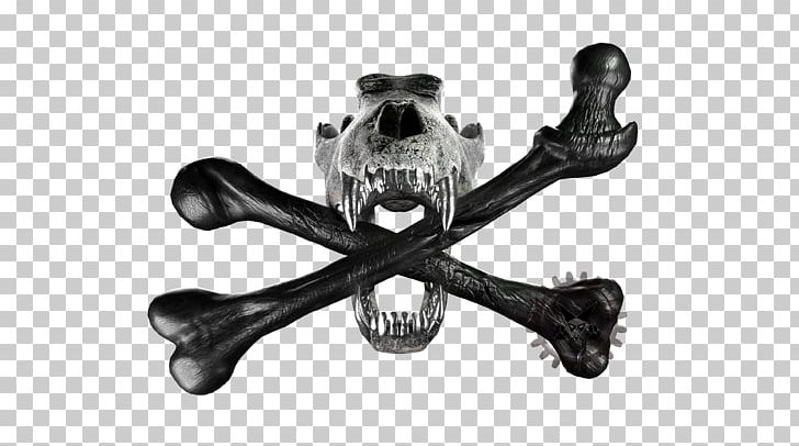 Skull And Crossbones Skull And Bones Arctic Wolf Black Wolf PNG, Clipart, Angle, Arctic Wolf, Black And White, Black Wolf, Bone Free PNG Download