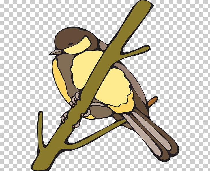 Bird Beak PNG, Clipart, Animals, Artwork, Beak, Bird, Branch Free PNG Download