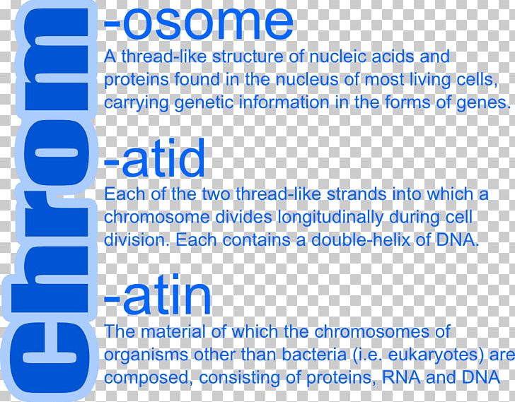 CHROMOSOMES & CHROMATIN Chromatid Allele PNG, Clipart, Allele, Angle, Area, Biology, Blue Free PNG Download