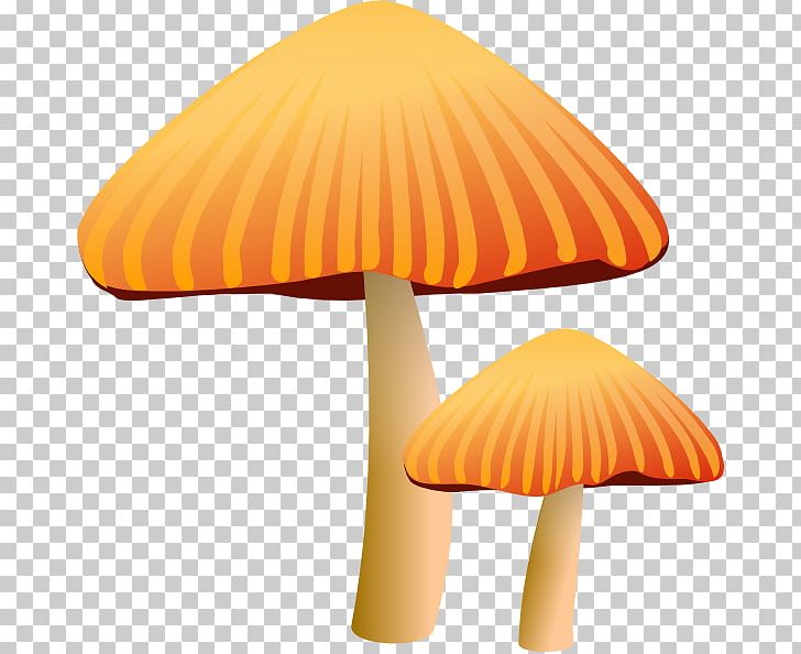 Mushroom Morchella PNG, Clipart, Common Mushroom, Computer Icons, Download, Edible Mushroom, Lamp Free PNG Download