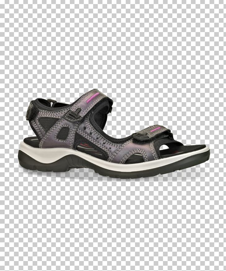 Sandal ECCO Shoe Norway Blue PNG, Clipart, Ankle, Blue, Cross Training Shoe, Ecco, Fashion Free PNG Download