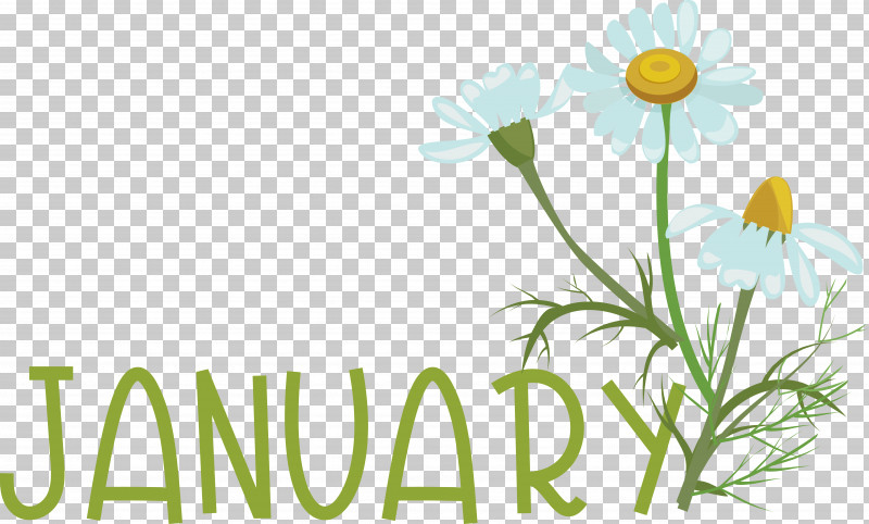 Floral Design PNG, Clipart, Chamomiles, Dandelions, Flora, Floral Design, Meadow Free PNG Download