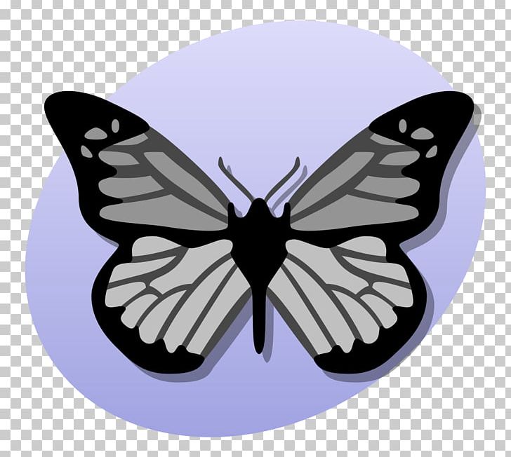 Biology GNU Free Documentation License PNG, Clipart, Animal Physiology, Biology, Brush Footed Butterfly, Dimension, Education Science Free PNG Download