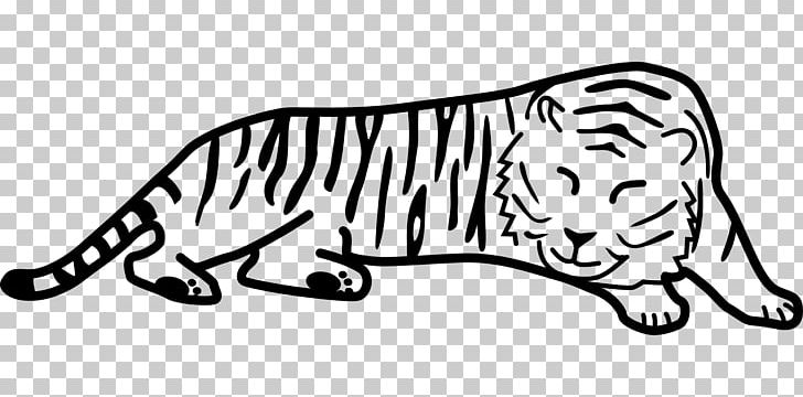 Black Tiger Drawing Saber-toothed Cat PNG, Clipart, Animals, Big Cats, Black, Carnivoran, Cat Like Mammal Free PNG Download