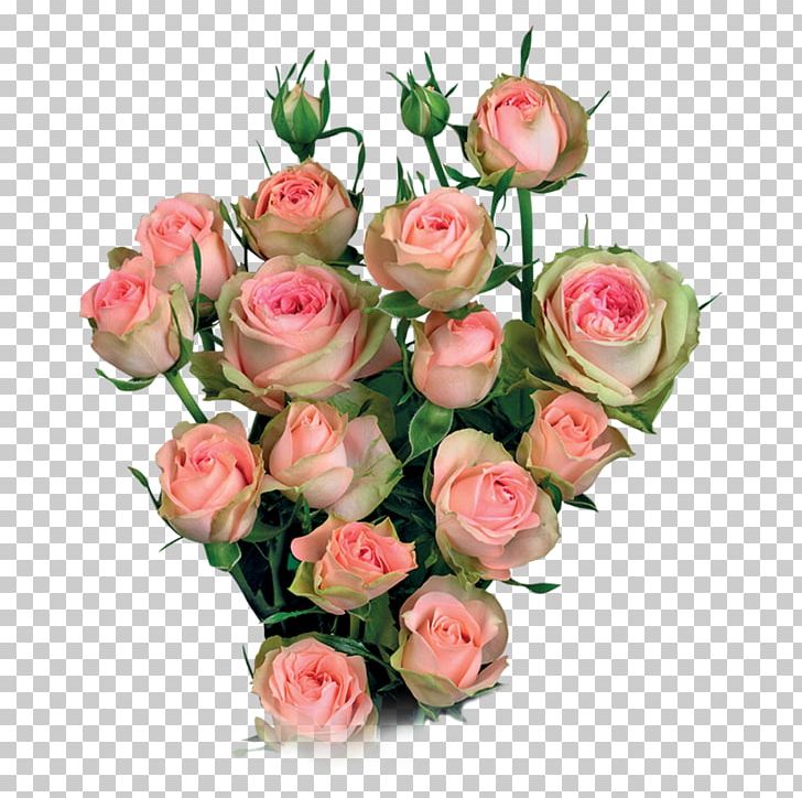 Garden Roses Cabbage Rose Cut Flowers Flower Bouquet Floral Design PNG, Clipart, Artificial Flower, Blomsterbutikk, Cut Flowers, Flora, Floral Design Free PNG Download