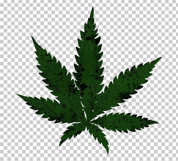Cannabis Sativa Legalization Drawing PNG, Clipart, Cannabis, Cannabis Sativa, Drawing, Hemp, Hemp Family Free PNG Download