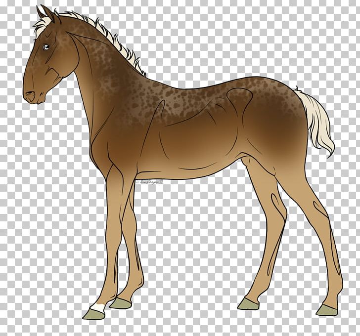 Mule Foal Mare Stallion Mustang PNG, Clipart, Bridle, Colt, Donkey, Foal, Halter Free PNG Download