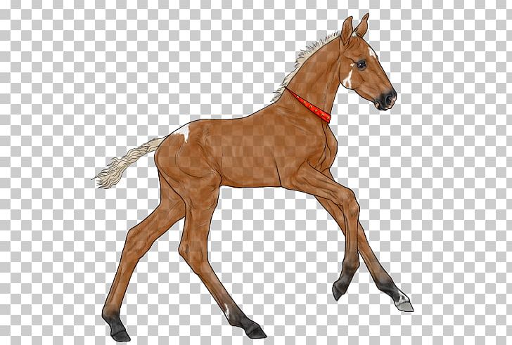 Mustang Foal Colt Stallion Mare PNG, Clipart, Animal Figure, Black, Bridle, Chestnut, Colt Free PNG Download