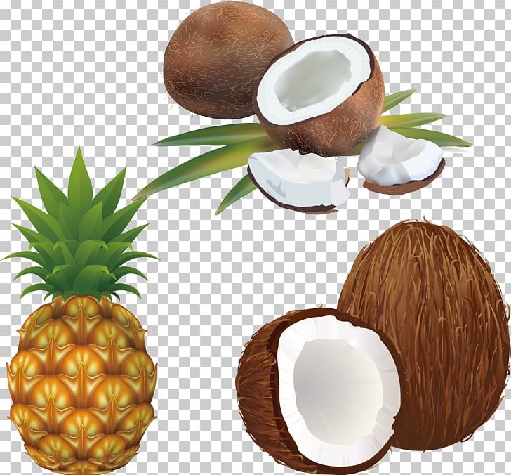 Pineapple Stock Photography Illustration PNG, Clipart, Ananas, Bromeliaceae, Cartoon Pineapple, Cdr, Coconut Leaf Free PNG Download