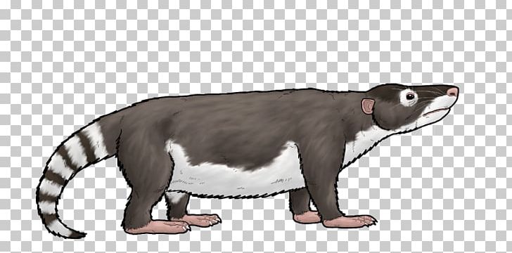 Repenomamus Mammal Drawing Canidae Animal PNG, Clipart, Animal, Animal Figure, Art, Bear, Canidae Free PNG Download