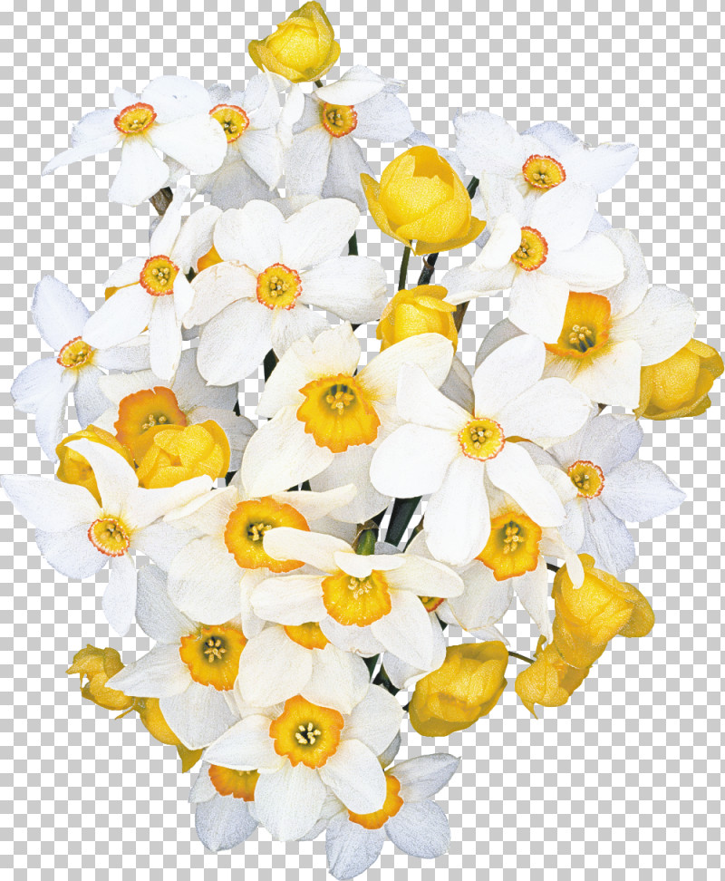 Flower Bouquet PNG, Clipart, Birthday, Cut Flowers, Daffodil, Floral Design, Flower Free PNG Download