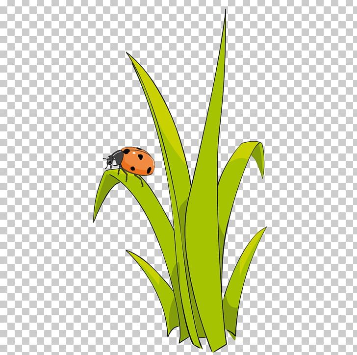 Free Content PNG, Clipart, Beak, Computer Wallpaper, Fictional Character, Flower, Grass Free PNG Download