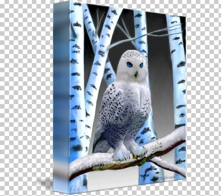 Owl Canvas Print Digital Art PNG, Clipart, Animals, Art, Beak, Bird, Bird Of Prey Free PNG Download
