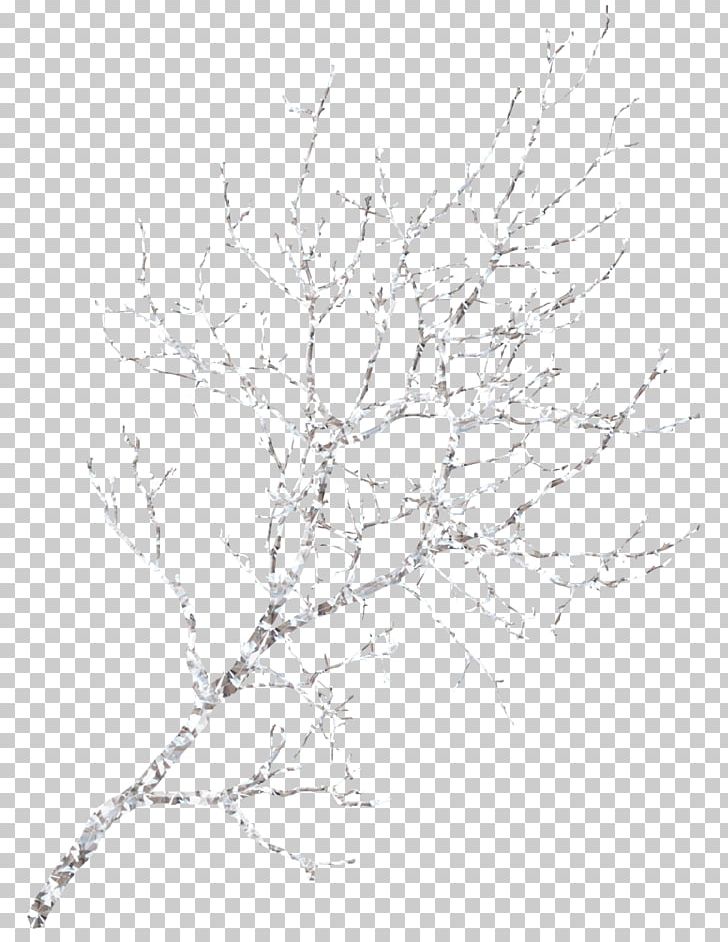 Snow Winter Symmetry Line Art Pattern PNG, Clipart, Black And White, Branch, Branches, Covered, Decorative Patterns Free PNG Download
