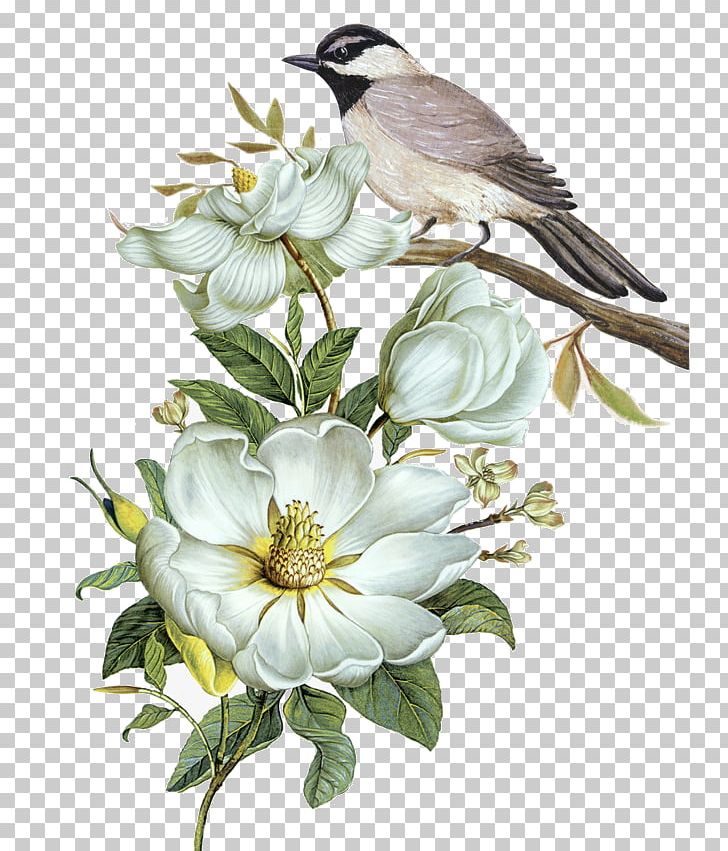 Bird Watercolor Painting PNG, Clipart, Animals, Beak, Bird, Branch, Cut Flowers Free PNG Download