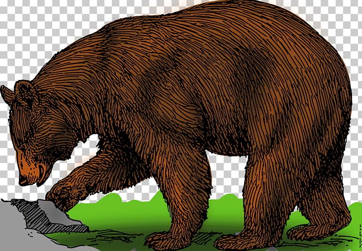 Brown Bear Grizzly Bear PNG, Clipart, American Black Bear, Animals, Bear, Brown Bear, Carnivoran Free PNG Download