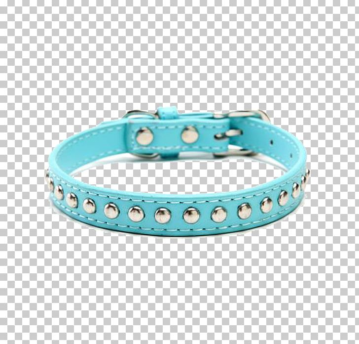 Chihuahua Turquoise Dog Collar Puppy PNG, Clipart, Animals, Aqua, Bicast Leather, Blingbling, Blue Collar Free PNG Download