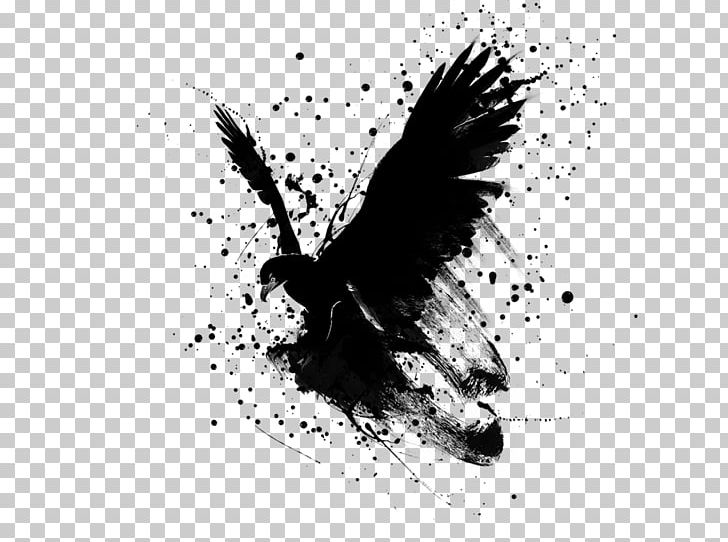 Desktop PNG, Clipart, Art, Beak, Bird, Bird Of Prey, Black And White Free PNG Download