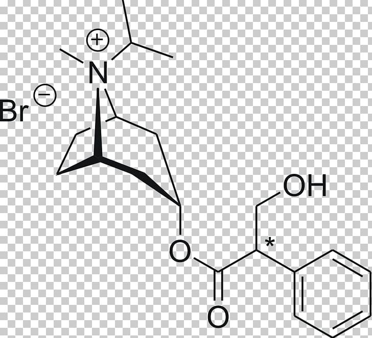 Hyoscine Common Water Hyacinth Amino Acid Red Bromide PNG, Clipart, Amino Acid, Angle, Area, Belladonna, Black And White Free PNG Download