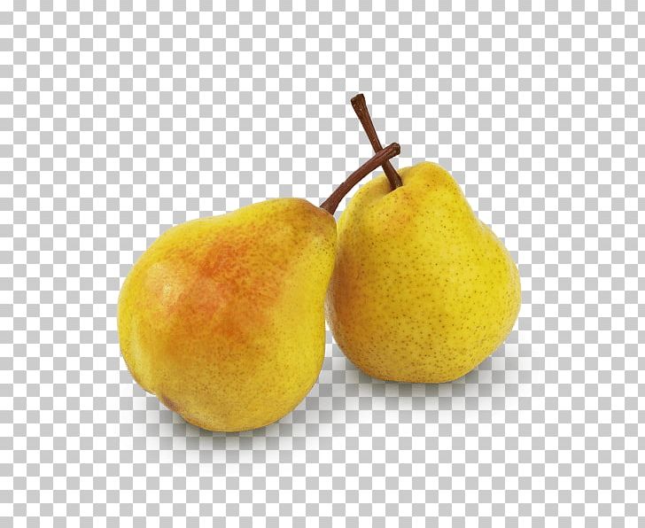 Pear Email Mango Gift PNG, Clipart, Email, Food, Fruit, Fruit Nut, Gift Free PNG Download