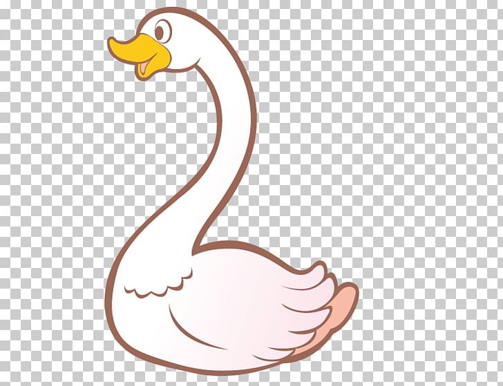 Black Swan Trumpeter Swan Tundra Swan Bird PNG, Clipart, Animal, Animals, Area, Background White, Beak Free PNG Download