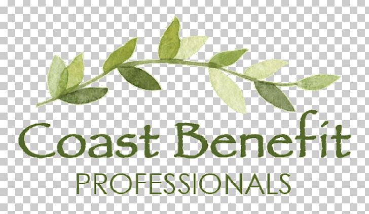 Coast Benefit Professionals Employee Benefits Ashley Drive Service Brand PNG, Clipart, Area, Branch, Brand, Employee Benefits, Fruit Free PNG Download