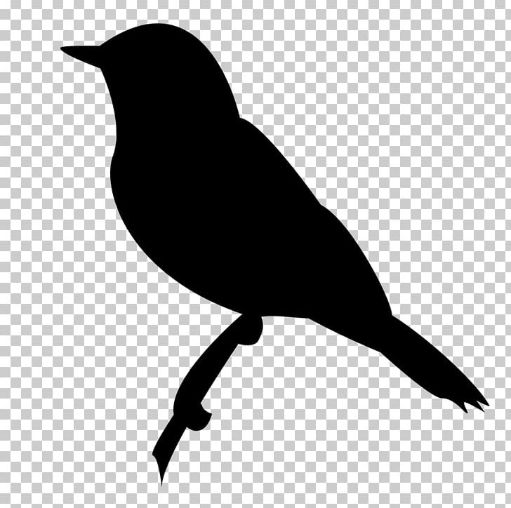 Common Starling Bird Wren Thrush PNG, Clipart, American Crow, Animals, Beak, Black And White, Branch Free PNG Download