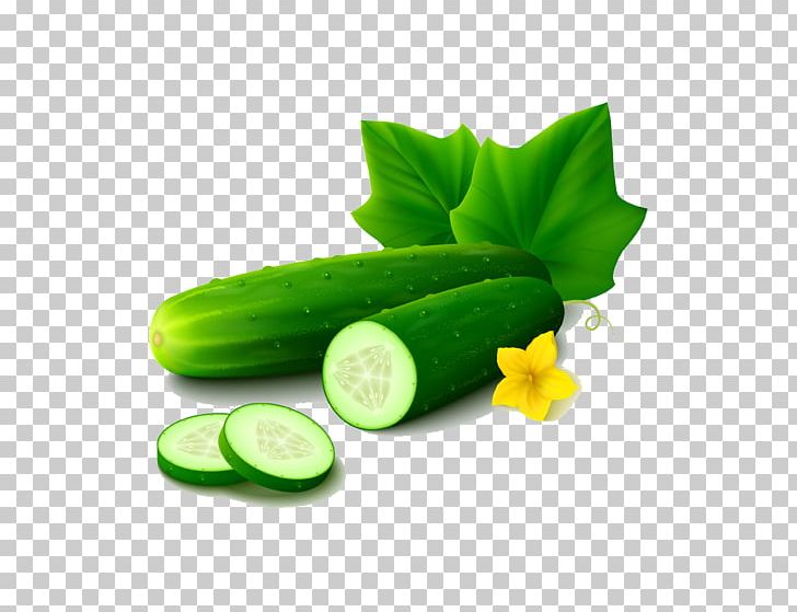 Cucumber Vegetable Cartoon PNG, Clipart, Anima, Auglis, Cartoon Cucumber, Comics, Cucumber Gourd And Melon Family Free PNG Download