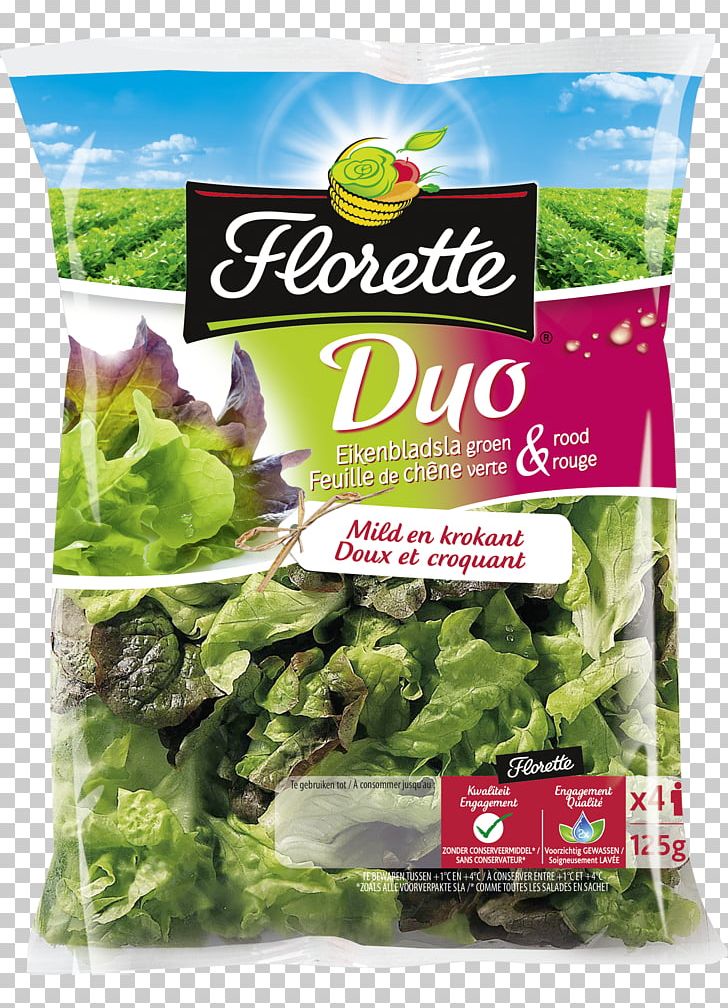Romaine Lettuce Eikenbladsla Arugula Salad PNG, Clipart, Arugula, Chard, Corn Salad, Fines Herbes, Food Free PNG Download