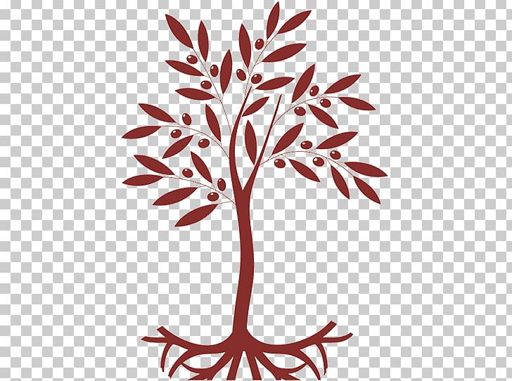 Twig Olive Leaf Tree Plant Stem PNG, Clipart, Branch, Finance, Flora, Flower, Flowering Plant Free PNG Download