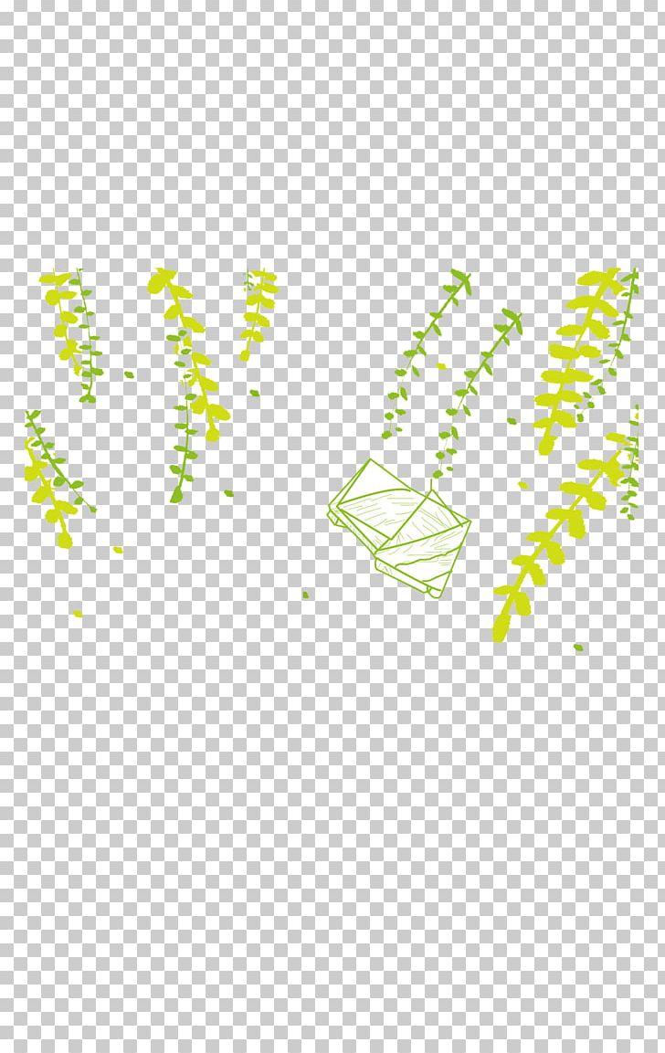 Willow Gratis PNG, Clipart, Angle, Area, Catkin, Catkins, Closeup Free PNG Download