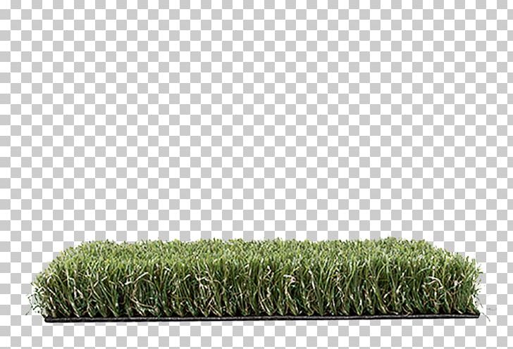 Artificial Turf Lawn Garden Synthetic Fiber Luxury Goods PNG, Clipart, Artificial Turf, Best Of The Best, Close Your Eyes, Emerald, Garden Free PNG Download