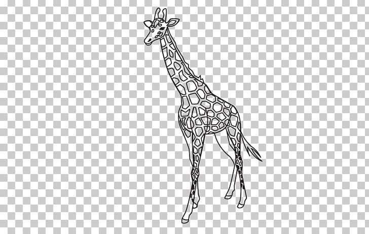 giraffe outline printable