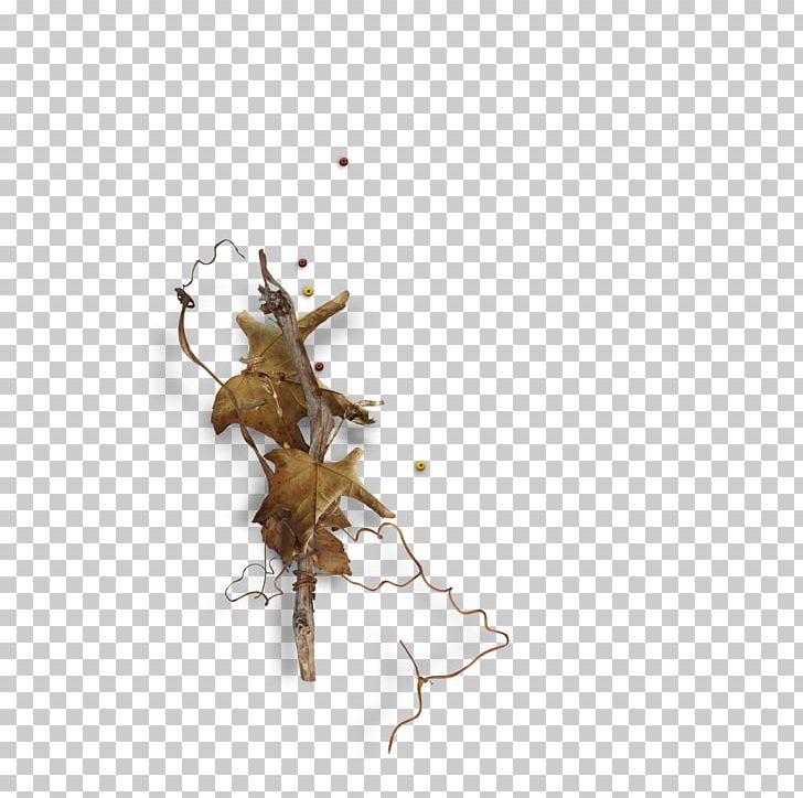 Insect Pest PNG, Clipart, Alena, Animals, Insect, Invertebrate, Membrane Winged Insect Free PNG Download