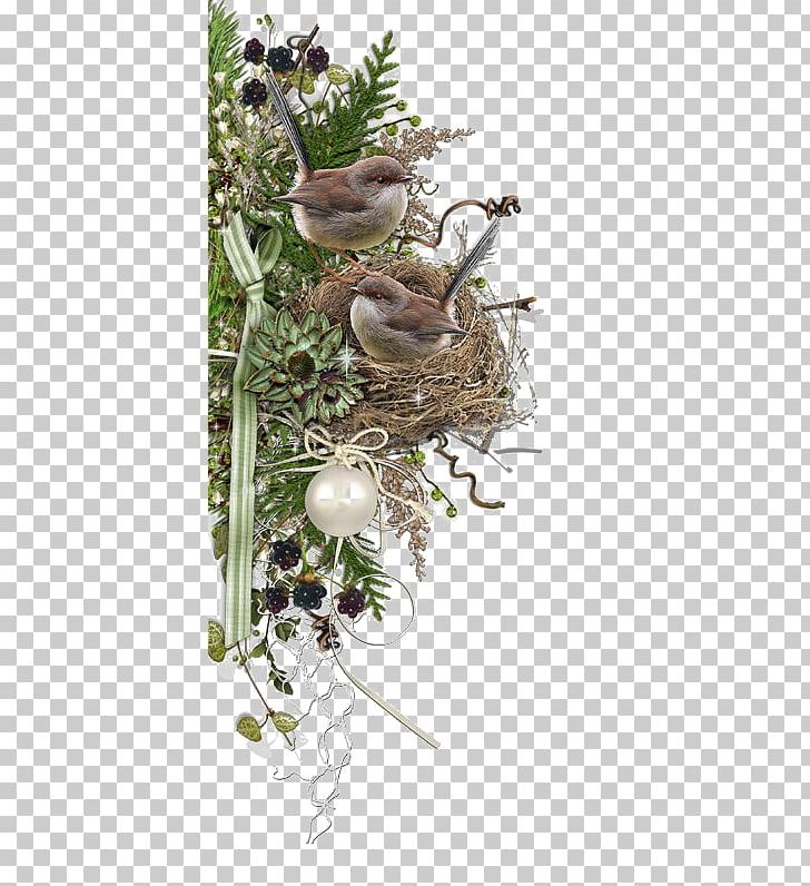 Digital Scrapbooking La Cachina PNG, Clipart, Animals, Bir, Branch, Cartoon, Christmas Card Free PNG Download